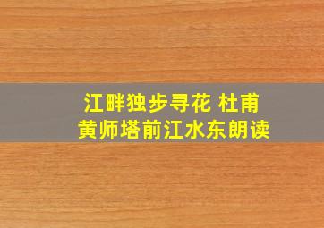 江畔独步寻花 杜甫 黄师塔前江水东朗读